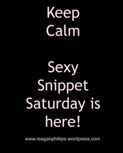 Sexy Snippet Saturday